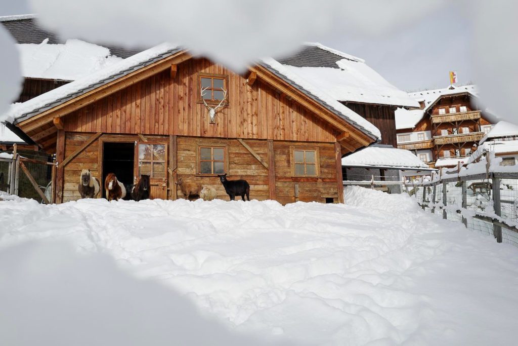 Winterurlaub am Bauernhof Österreich