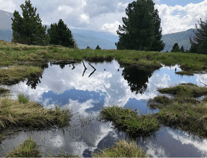 Yoga-Retreat auf dem Biohof