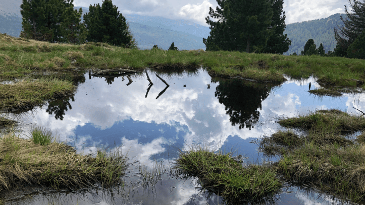 Yoga-Retreat auf dem Biohof